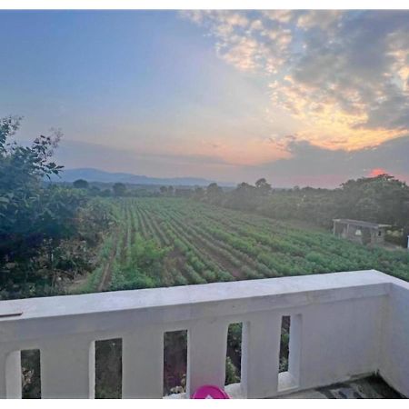 Hari Homestay, Garudeshwar Exterior foto